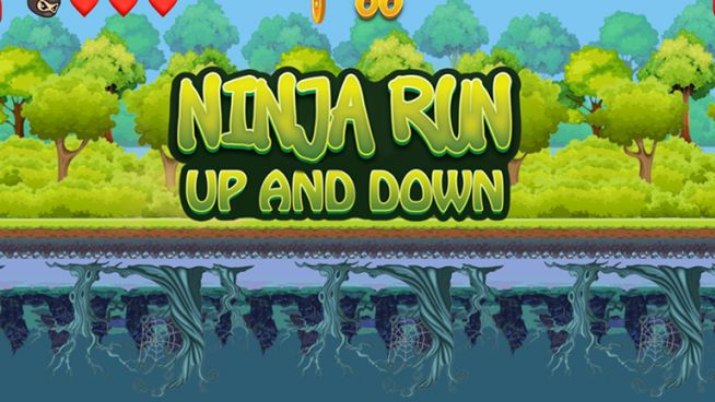 Ninja Run New